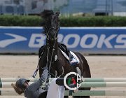 Giordano Carlton Wonder CsioArJYR SS7 8102 : CSIO Giovani Arezzo, Carlton Wonder, Giordano Martina, foto Stefano Secchi ©